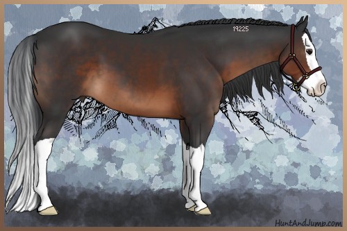 Horse Color:Brown Splash 