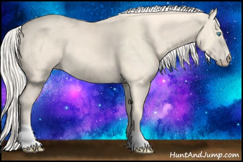 Horse Color:Cremello Tobiano 