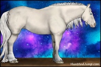 Horse Color:Cremello Tobiano 