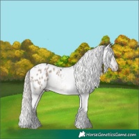 Horse Color:Liver Red Dun Mushroom Tobiano Appaloosa 
