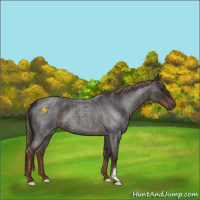 Horse Color:Liver Red Roan 