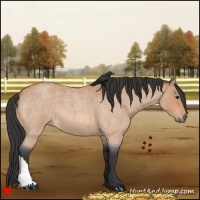 Horse Color:Bay Roan 