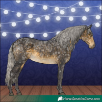 Horse Color:White Spotted Silver Buckskin Ice Rabicano 