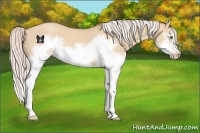 Horse Color:Silver Classic Champagne Dun Splash Frame 