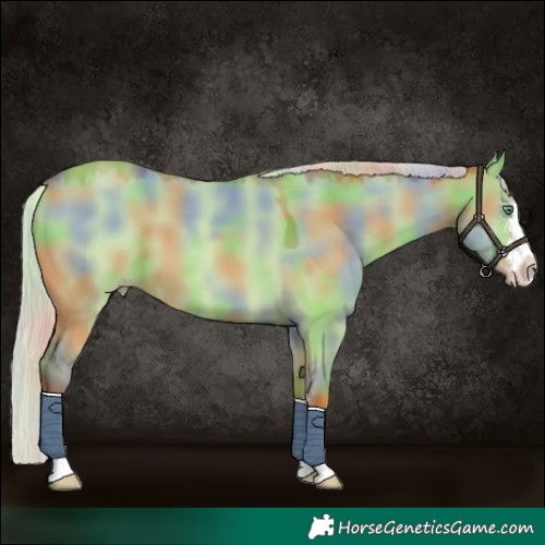 Horse Color:Nacre Silver Sable Champagne Dun 