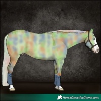 Horse Color:Nacre Silver Sable Champagne Dun 