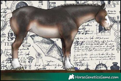 Horse Color:Liver Chestnut Mushroom 