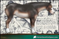 Horse Color:Liver Chestnut Mushroom 