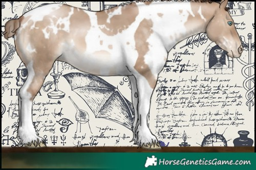 Horse Color:White Spotted Brown Pearl Dun Tobiano