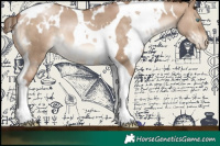 Horse Color:White Spotted Brown Pearl Dun Tobiano