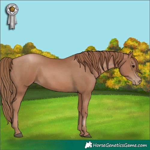 Horse Color:Black Pearl 