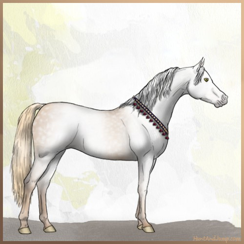 Horse Color:Gray Gold Champagne 