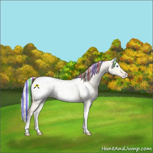 Horse Color:Painted White Spotted Cremello Dun Tobiano Appaloosa Rabicano