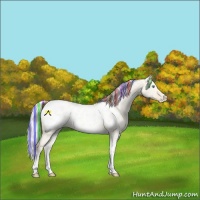 Horse Color:Painted White Spotted Cremello Dun Tobiano Appaloosa Rabicano 