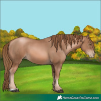 Horse Color:Liver Chestnut Pearl 