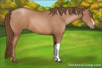 Horse Color:Brown Pearl 
