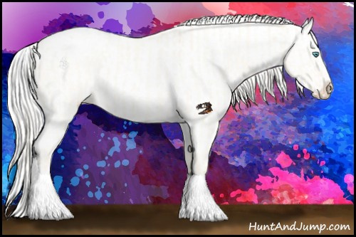 Horse Color:Cremello Dun Appaloosa  and Cremello Dun Appaloosa 