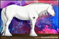 Horse Color:Cremello Dun Appaloosa  and Cremello Dun Appaloosa 