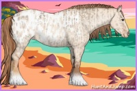 Horse Color:Red Dun Appaloosa  and Gold Champagne Dun Appaloosa 