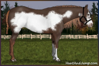Horse Color:Liver Chestnut Frame 