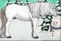 Horse Color:Red Dun Varnish 