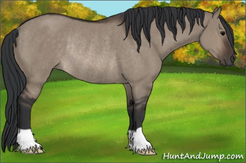 Horse Color:Brown Dun Rabicano