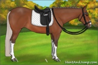 Horse Color:Silver Bay