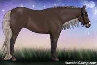 Horse Color:Silver Brown 
