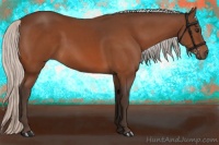 Horse Color:Silver Brown 