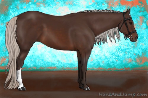 Horse Color:Silver Brown 