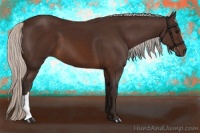Horse Color:Silver Brown 