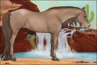 Horse Color:Black Pearl