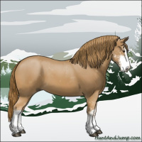 Horse Color:Chestnut Sabino
