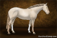 Horse Color:Liver Red Dun Pearl