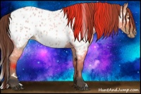Horse Color:White Spotted Bay Roan Dun Appaloosa 