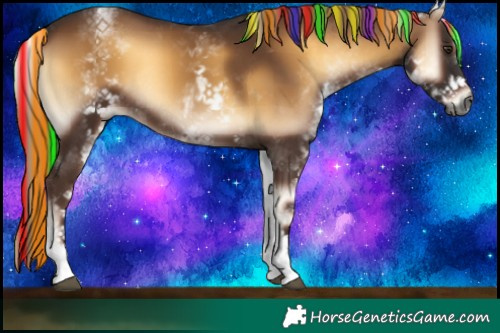 Horse Color:Gray Painted White Spotted Red Onyx Rabicano 