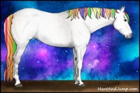 Horse Color:Gray Painted White Spotted Red Onyx Rabicano 