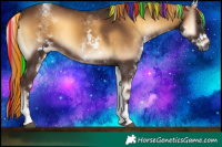 Horse Color:Gray Painted White Spotted Red Onyx Rabicano