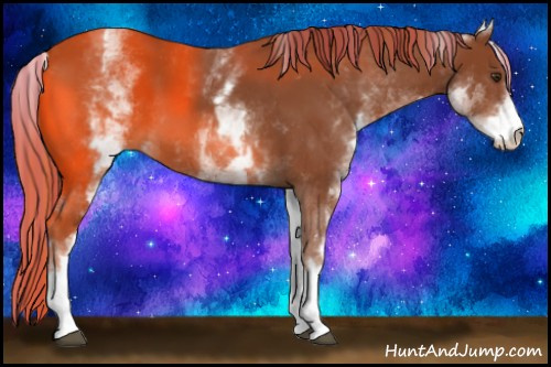 Horse Color:Painted White Spotted Chestnut