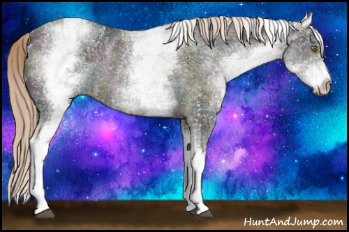 Horse Color:White Spotted Midnight Red Dun Ice Rabicano