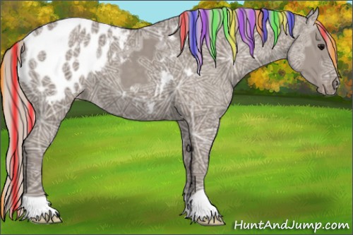 Horse Color:Painted Silver Grullo Ice Appaloosa 
