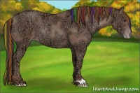 Horse Color:Painted Classic Champagne Ice Rabicano 