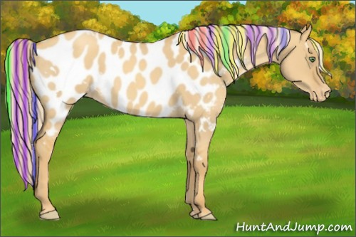 Horse Color:Painted White Spotted Gold Cream Champagne Roan Dun Appaloosa 