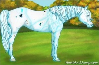 Horse Color:Thunderstruck White Spotted Cremello Dun Tobiano Rabicano