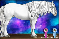 Horse Color:Gold Champagne Ice Roan Dun Mushroom Sabino Splash Appaloosa Rabicano
