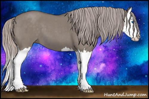 Horse Color:Silver Grullo Roan Splash