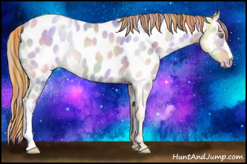 Horse Color:Painted Nacre Gold Champagne Pearl Dun Appaloosa 