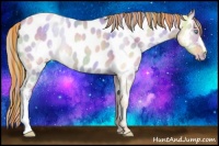 Horse Color:Painted Nacre Gold Champagne Pearl Dun Appaloosa 