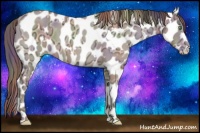 Horse Color:Nacre White Spotted Sable Champagne Ice Dun Appaloosa 