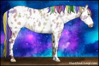 Horse Color:Painted Nacre White Spotted Sable Champagne Dun Appaloosa Rabicano 